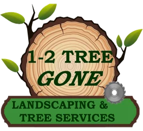 12 Tree Gone